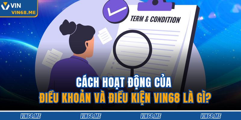 Cách hoạt động của Điều khoản và Điều kiện VIN68 là gì?